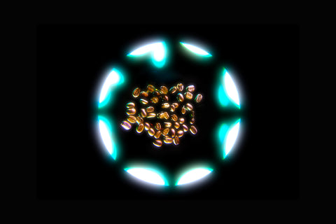 Wrapped 2024 - l'année en chiffre