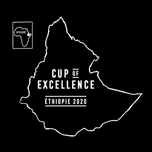 Cup of Excellence Ethiopia 2020 - Dévoilement des gagnants
