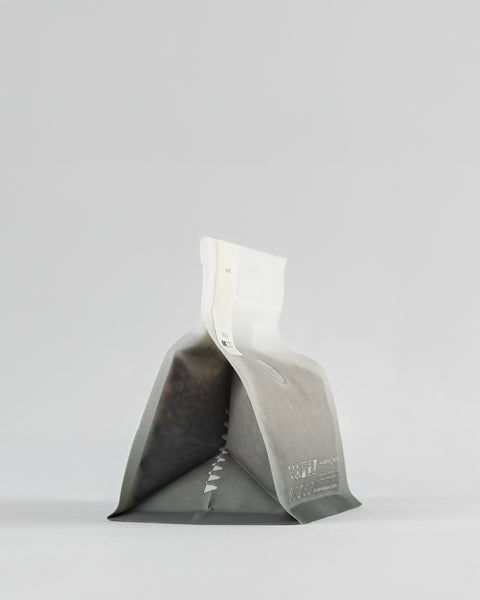 éthiopie - desalegn