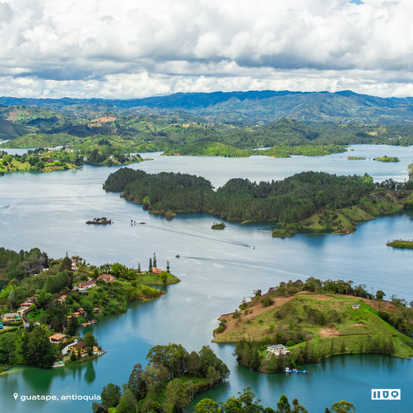 colombie - noreña circasia