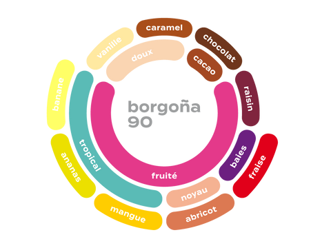 Roue des saveurs de Café Honduras - Borgoña 90 Roue des saveurs de Café Honduras - Borgoña 90