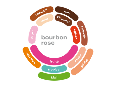 Roue des saveurs de colombie - terra bourbon rose