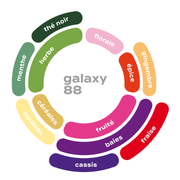 Roue des saveurs de colombie - galaxy 88