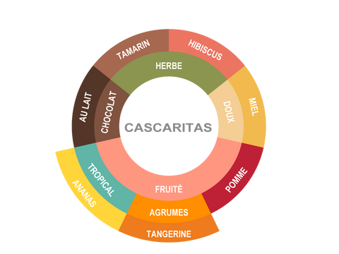 Roue des saveurs de Honduras Coffee - Cascaritas Roue des saveurs de Honduras Coffee - Cascaritas