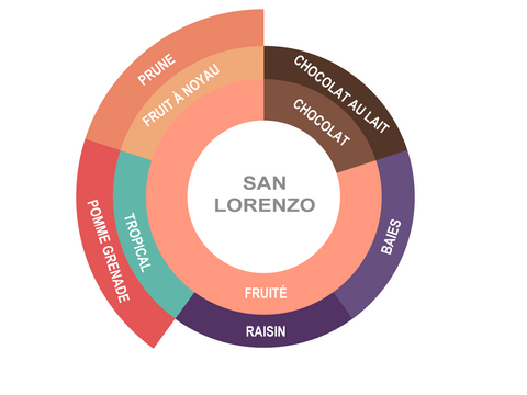 Roue des saveurs de Bolivia Coffee - San Lorenzo Roue des saveurs de Bolivia Coffee - San Lorenzo