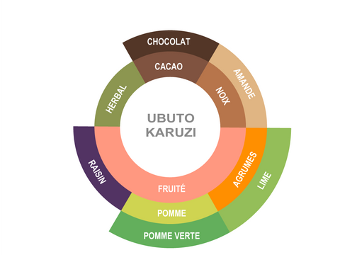Roue des saveurs de Burundi Coffee - Ubuto Karuzi Roue des saveurs de Burundi Coffee - Ubuto Karuzi