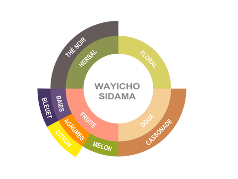 Roue des saveurs de Ethiopia Coffee - Wayicho Sidama Roue des saveurs de Ethiopia Coffee - Wayicho Sidama
