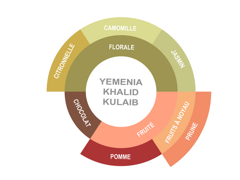 Roue des saveurs de Yemen Coffee - Yemenia : Khalid Kulaib Roue des saveurs de Yemen Coffee - Yemenia : Khalid Kulaib
