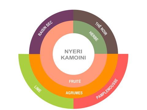 Roue des saveurs de Café Kenya - Nyeri Kamoini Roue des saveurs de Café Kenya - Nyeri Kamoini