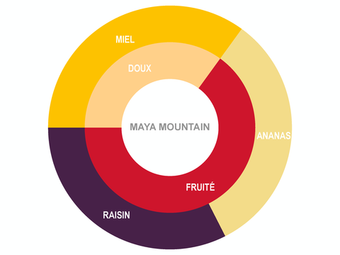 Roue des saveurs de Pastilles de chocolat biologique Maya Mountain 70%