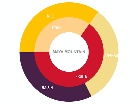 Roue des saveurs de La Mini Choco de Maya Mountain 70% Roue des saveurs de La Mini Choco de Maya Mountain 70%