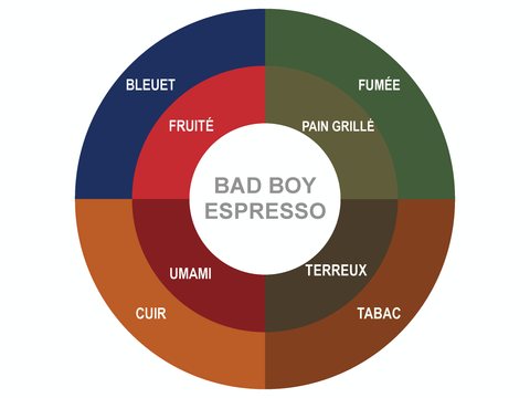 Roue des saveurs de Bad Boy Espresso Coffee Roue des saveurs de Bad Boy Espresso Coffee