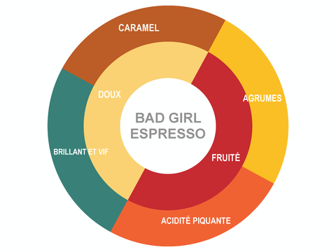 Roue des saveurs de Bad Girl Espresso Coffee Roue des saveurs de Bad Girl Espresso Coffee