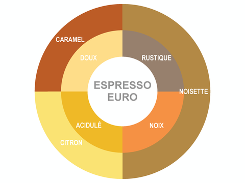 Roue des saveurs de espresso euro