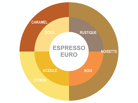 Roue des saveurs de Café Espresso Euro Roue des saveurs de Café Espresso Euro