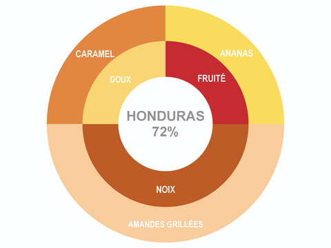 Roue des saveurs de Tablette de Chocolat Honduras 72% Roue des saveurs de Tablette de Chocolat Honduras 72%