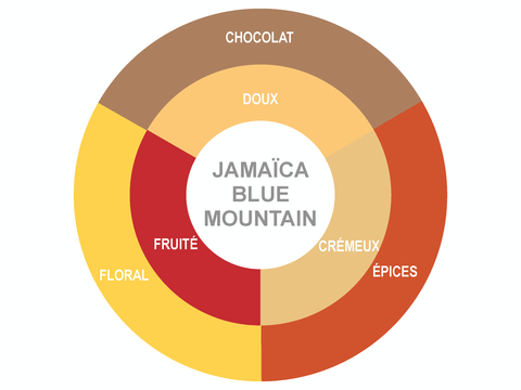 Roue des saveurs de Typica Jamaïca Blue Mountain Coffee Roue des saveurs de Typica Jamaïca Blue Mountain Coffee