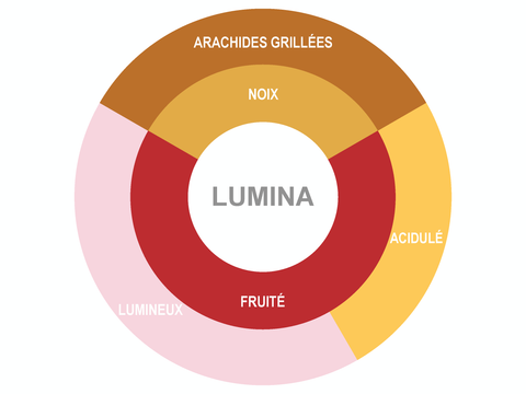 Roue des saveurs de Pastilles de chocolat biologique Lumina 70%