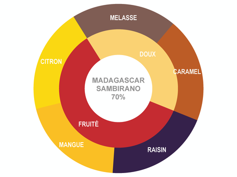 Roue des saveurs de Pastilles de chocolat biologique Madagascar Sambirano 70%