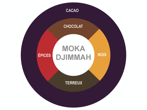 Roue des saveurs de moka djimmah