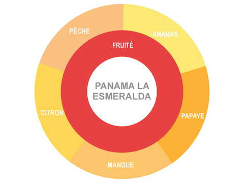 Roue des saveurs de Geisha Panama La Esmeralda Coffee Roue des saveurs de Geisha Panama La Esmeralda Coffee