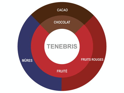 Roue des saveurs de Mini Pastilles de chocolat biologique Ténébris 70%