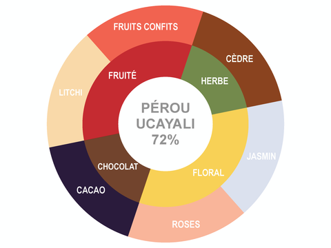 Roue des saveurs de Pastilles de chocolat Pérou Ucayali 72%