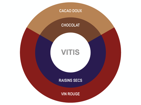 Roue des saveurs de Pastilles de Chocolat Biologiques Vitis 55% Roue des saveurs de Pastilles de Chocolat Biologiques Vitis 55%