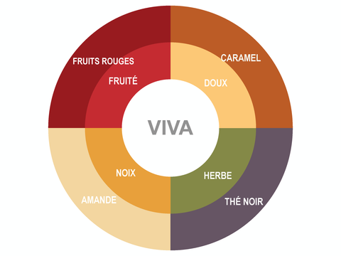 Roue des saveurs de viva