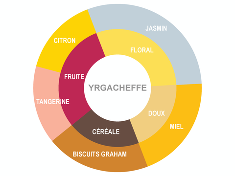 Roue des saveurs de Ethiopia Coffee - Yirgacheffe Roue des saveurs de Ethiopia Coffee - Yirgacheffe