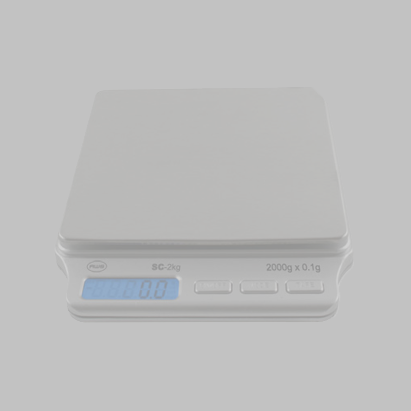 Usa Weight - Atlanta bilancia digitale - 600g x 0,1gr