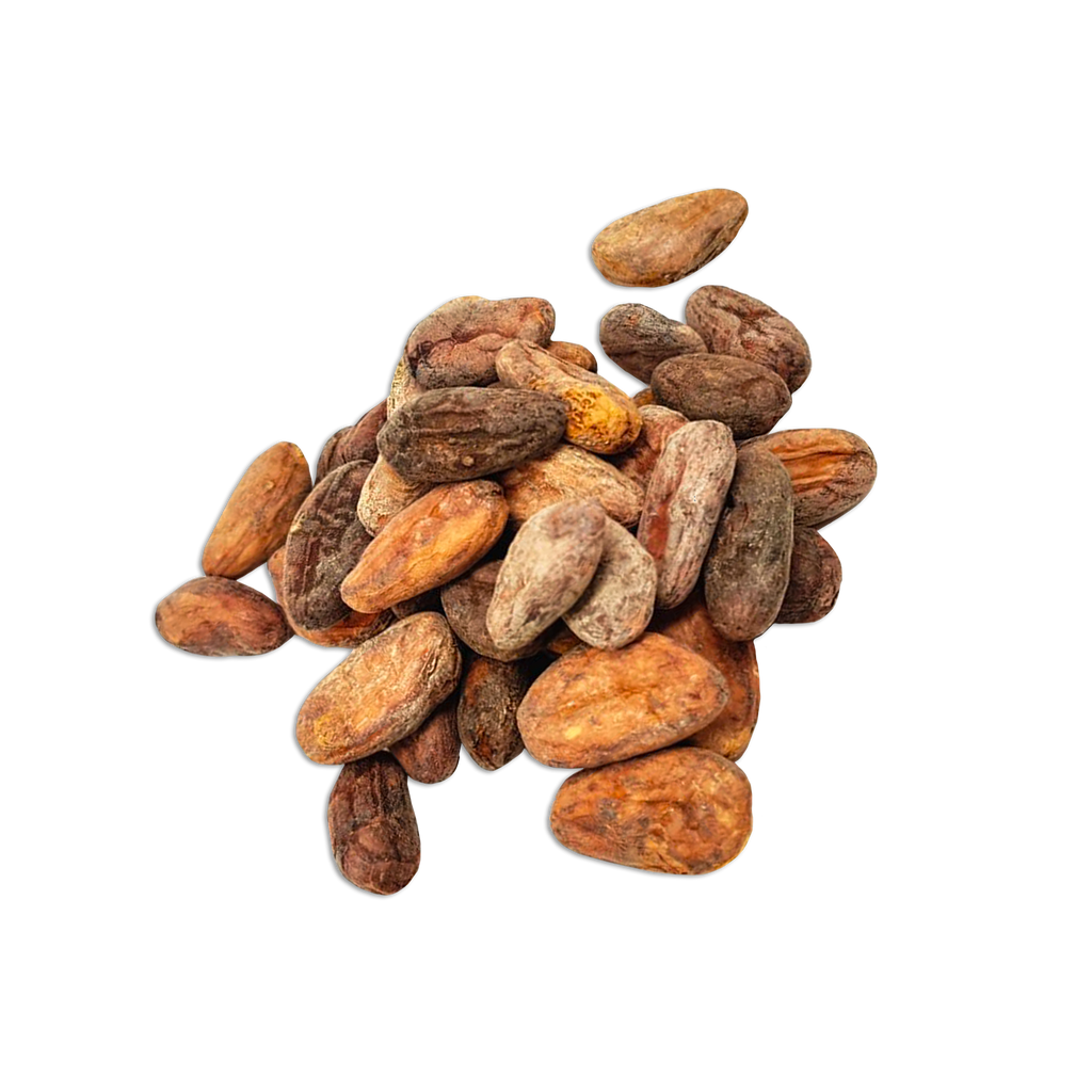 Fèves de cacao - Zorzal