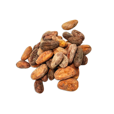 Fèves de cacao - Zorzal