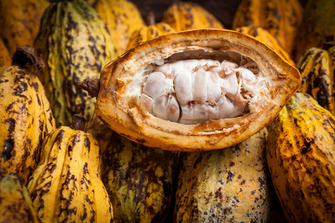 Cocoa pod split in half a top of other cocoa pods