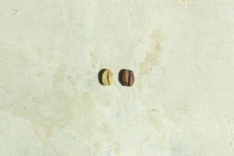 Arabica (Coffea Arabica)