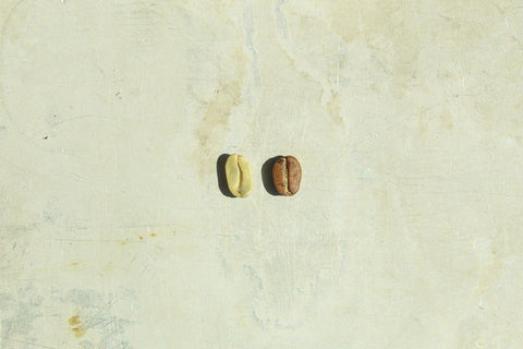 Typica (arabica)