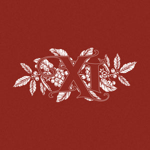 Advent Calendar 2022 - Day 11