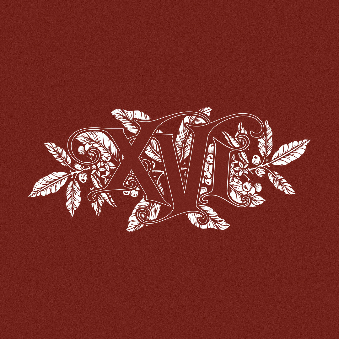 Advent Calendar 2022 - Day 16