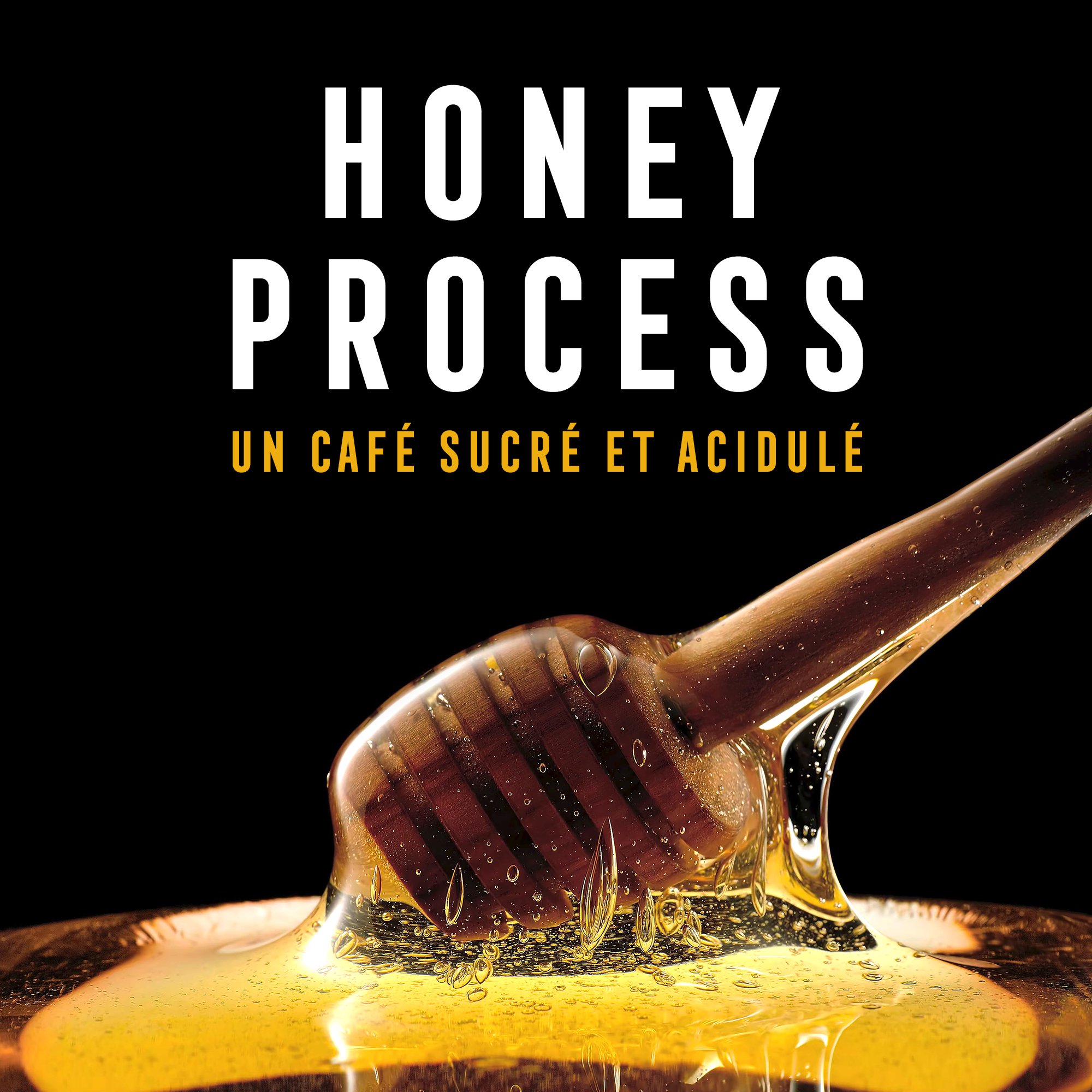Honey Process : un café sucré et acidulé