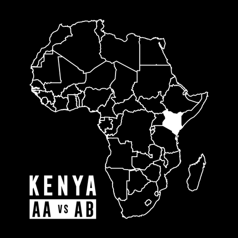 La différence entre un café Kenya AA et AB