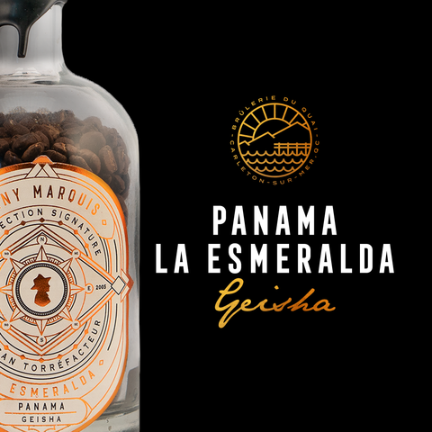 Panama La Esmeralda - Geisha - Brulerie du Quai
