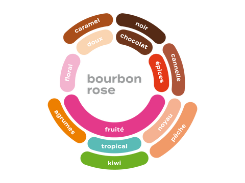 Roue des saveurs de Café Colombie - Terra Bourbon Rose