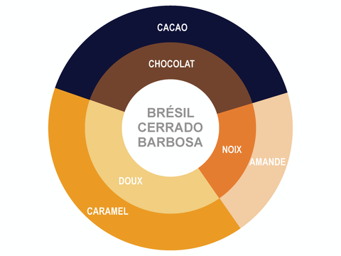 Roue des saveurs de Brazil Coffee - Cerrado