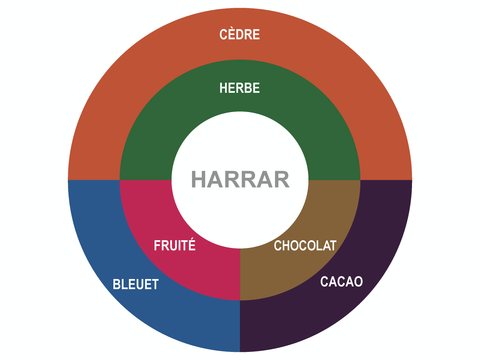 Roue des saveurs de Café Éthiopie - Harrar