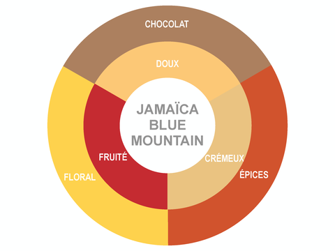 Roue des saveurs de Typica Jamaïca Blue Mountain Coffee