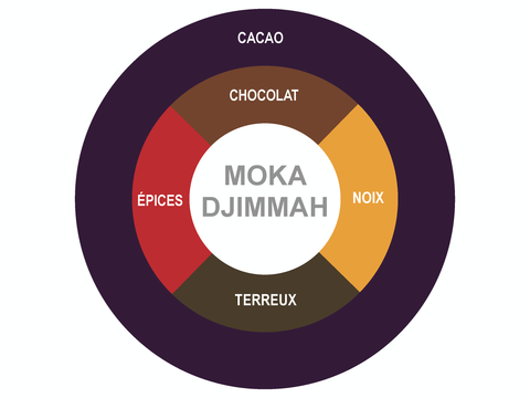 Roue des saveurs de Moka Djimmah Coffee