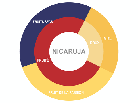 Roue des saveurs de Pastilles de chocolat biologique Nicaruja 62%