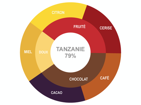 Roue des saveurs de Pastilles de Chocolat Biologiques Tanzanie 79%