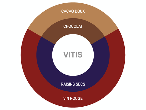 Roue des saveurs de Pastilles de chocolat biologique Vitis 55%
