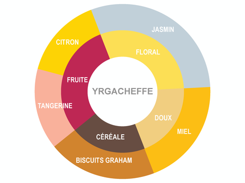 Roue des saveurs de Ethiopia Coffee - Yirgacheffe